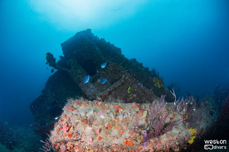 St. Jacques - All wreck in this trek have received significant damage