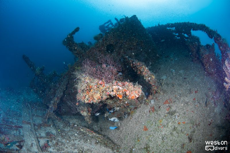 St. Jacques - The bow are of the wreck cannot be penetrated