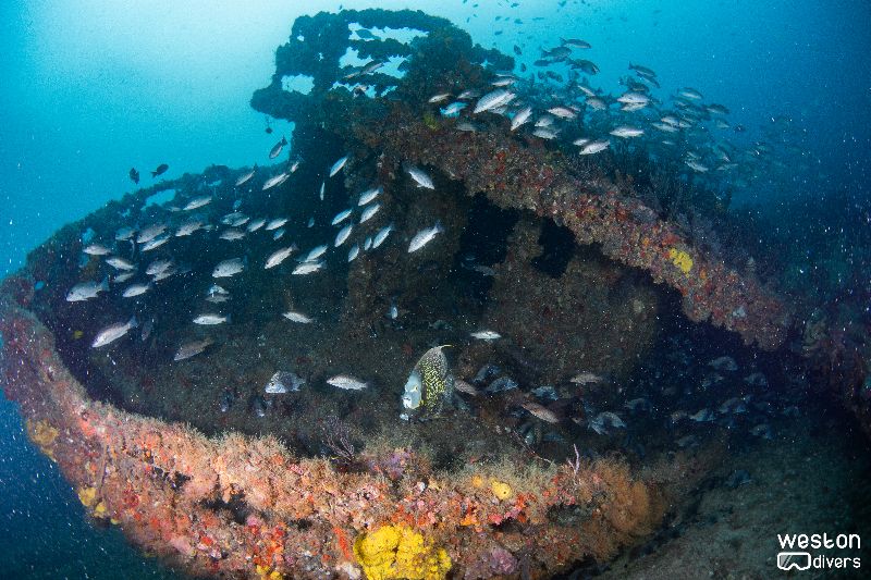 Gilbert Sea - The stern section is mostly intact, but penetration is not recommended