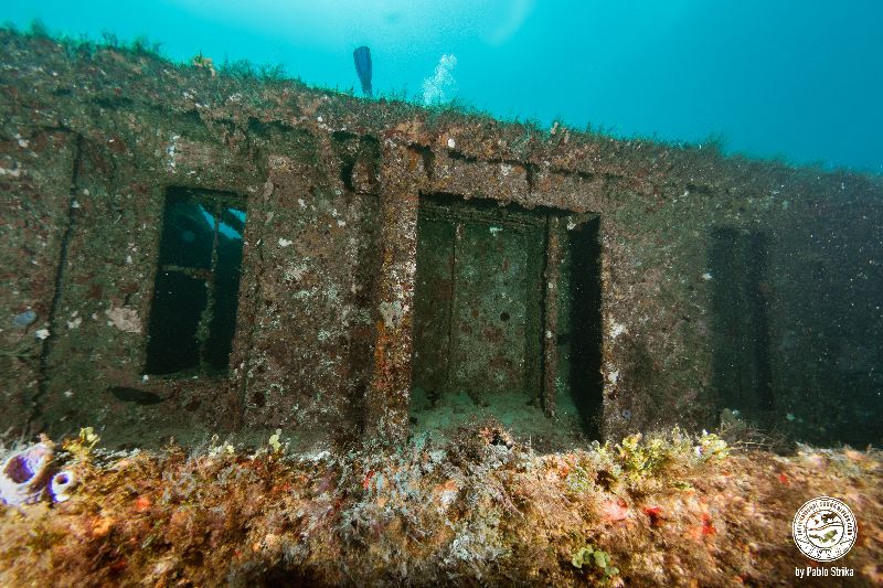 Danny McCauley - The structure offers many swims through