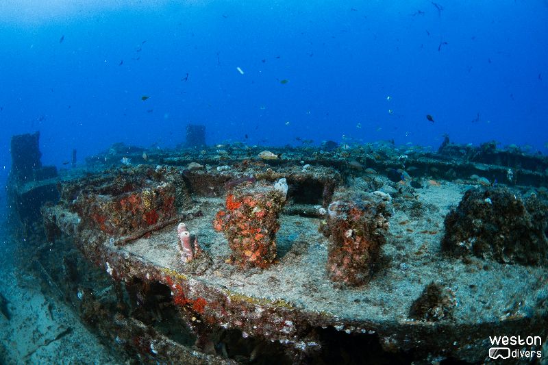 Spearman's barge - The barge offers little in terms of features