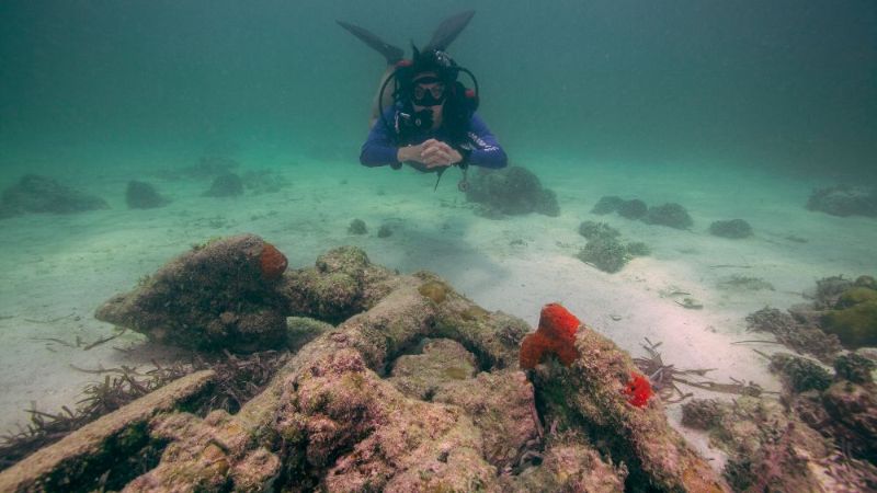 San Pedro - A dive poses next o the canons of this galleon