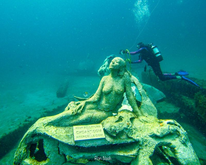 Mermaids - This site offers many mermaid sculptures that attract a lot of marine life
