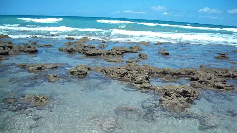 Bathtub - Low tides uncover the formation that resemble "bathtubs"