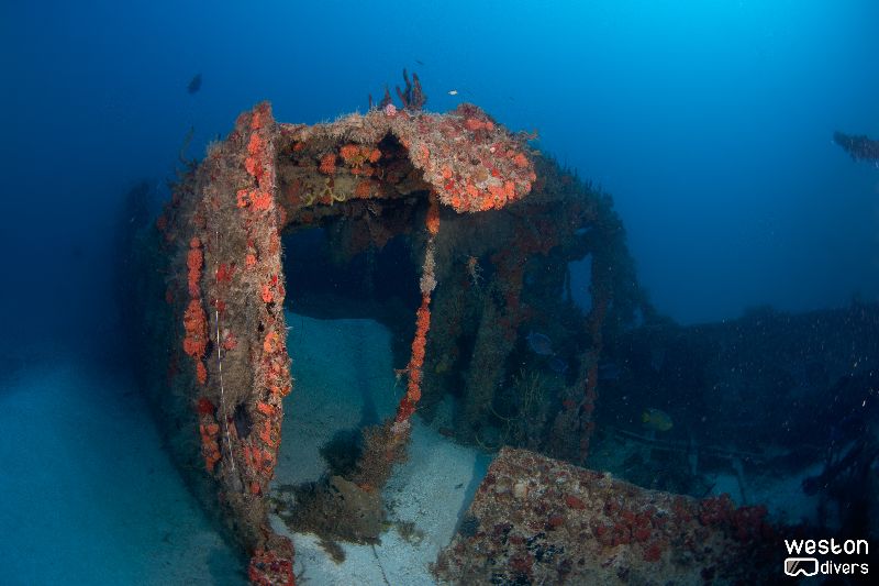 Hugo's April Fool - The wreck is upright and mostly intact