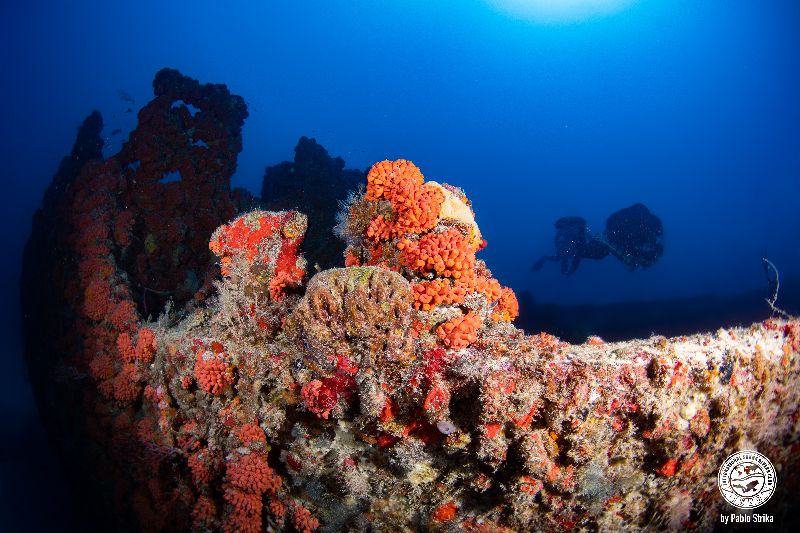 Hugo's April Fool - The stern of the wreck offers a lot of exploration opportunities