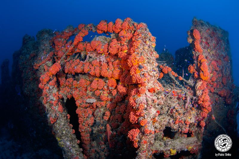 Hugo's April Fool - Another view of the stern
