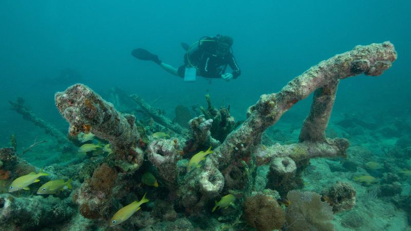 Lugano - Very little can be recognized from this wreck