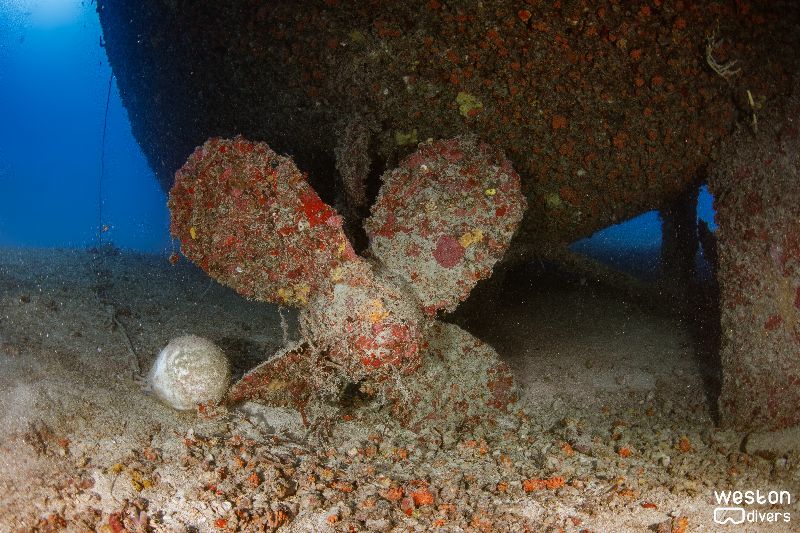 Thunderbolt - The port propeller - the mooring ball rests right there