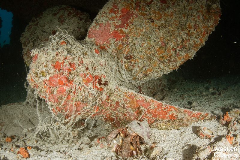 Thunderbolt - There are many ghosts fishing line on this wreck