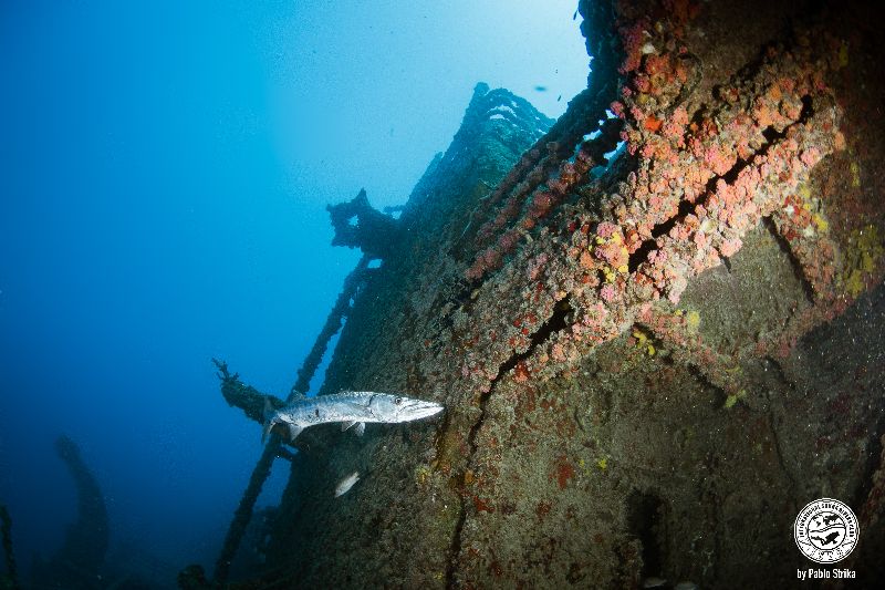 General Hoyt S. Vandenberg - This wreck has a massive relief