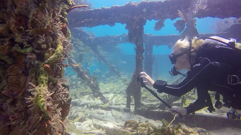 Flager's Barge - A diver is taking footage inside the structure of the barge