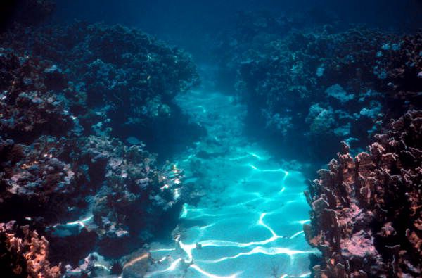 Sand Key - Typical coral canyon formations