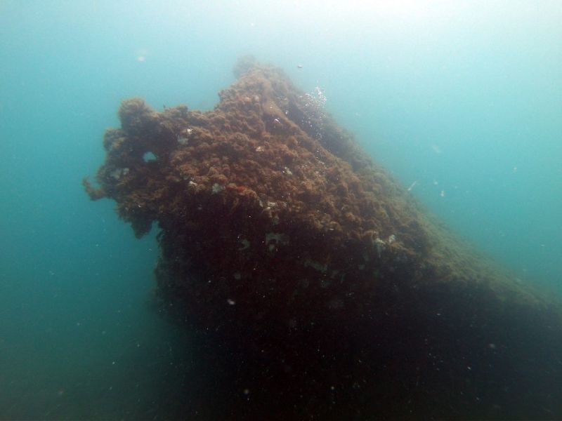 USS Amesbury - A beatiful shallow wreck for all divers