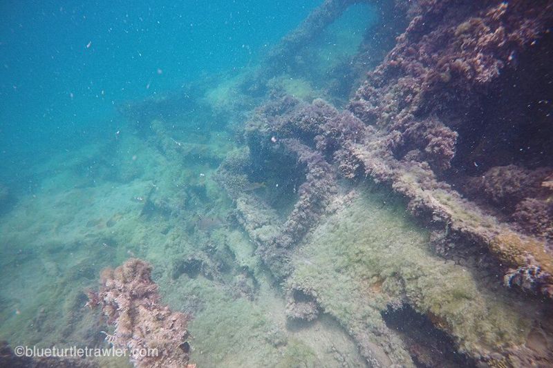 USS Amesbury - The wreck has been underwater for a very long time