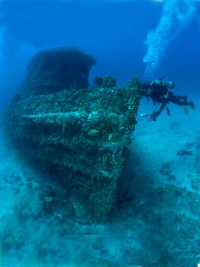 Berry Patch Tug - The small wreck is intact and sitting upright