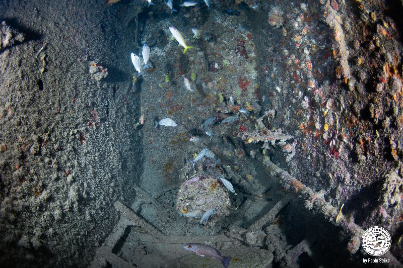 Peter B. McAllister - Although the engine has been removed, divers can see the shaft still in the tugboat