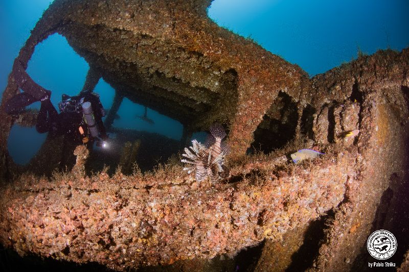 USS Muliphen - The whole wreck is covered in all kind of invertebrates. Lionfish are common residents here