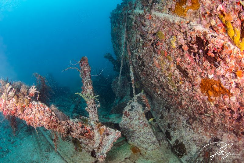 Tarpoon - Although very damaged, the stern portion of this freighter can still be recognized