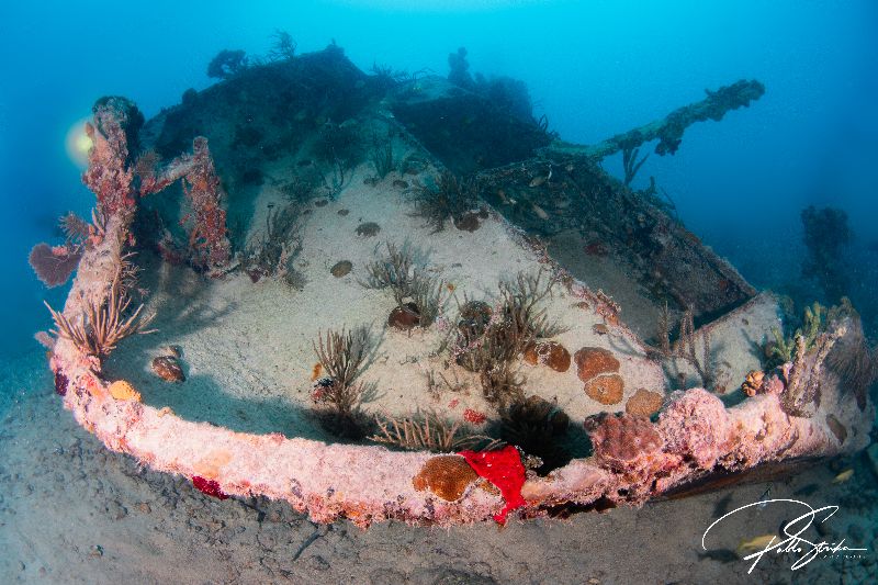 Tarpoon - The stern of this wreck is the only section that can be considered "semi" intact.