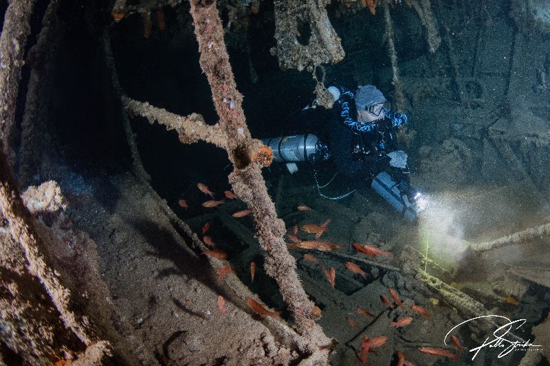 Sucre - A diver explores the engine room - a real highlight of this site