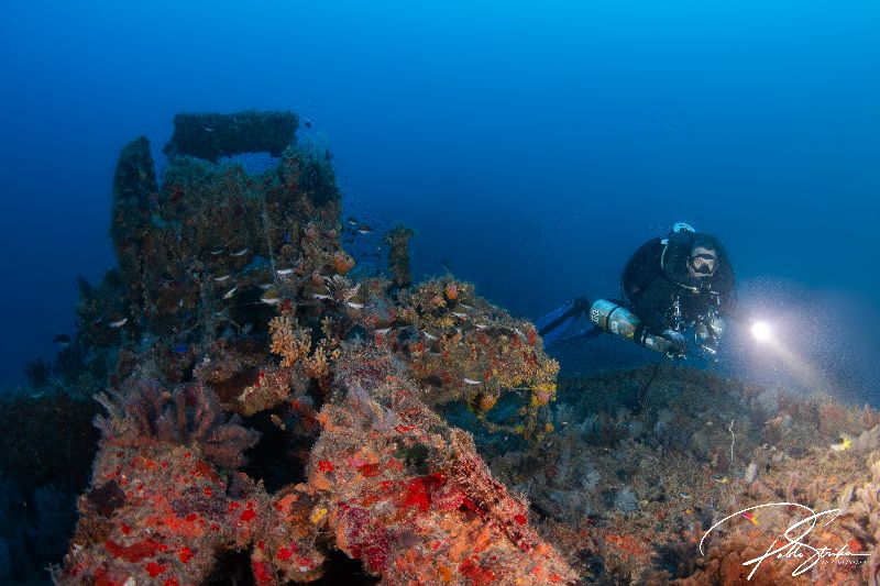Sucre - The wreck is completely colonized by corals