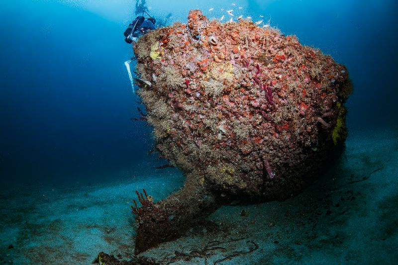 Pride - The hull of this sailboat is the still intact