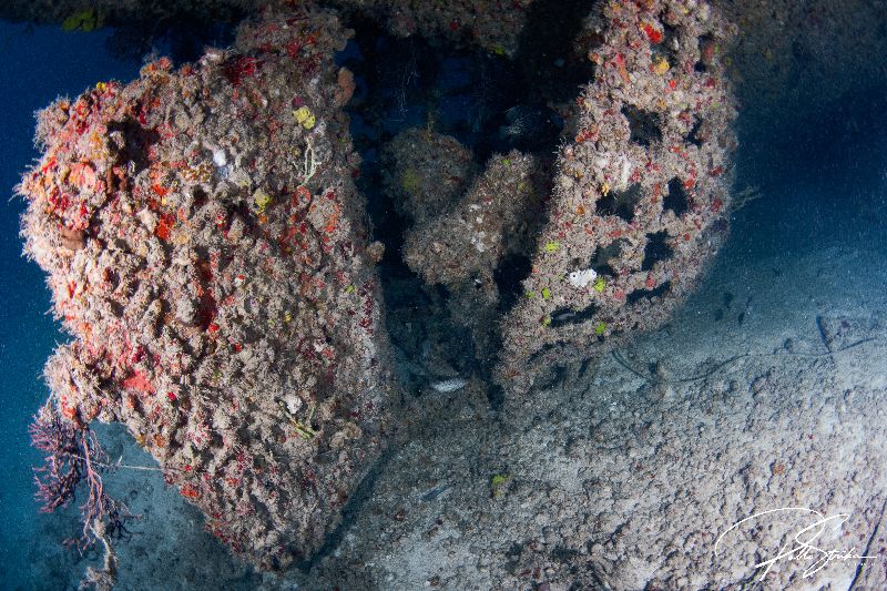 Miguana - The propeller in this wreck is intact. A must visit spot