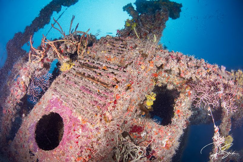 Etoile de Mer - Colorful corals and rust are present in all the wreck