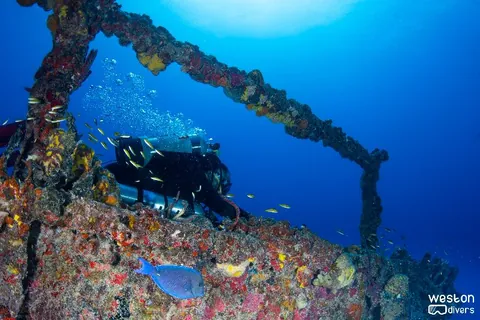 Spiegel Grove - A diver explores one of the upper decks
