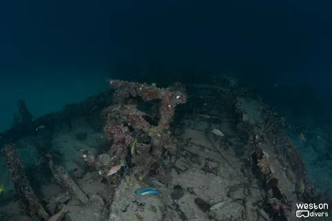 Alpha - The stern section of the bow is pretty much intact