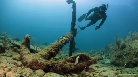 SS Copenhagen - A free diver explores the anchor