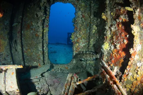 Duane - There are many swims through in the wreck