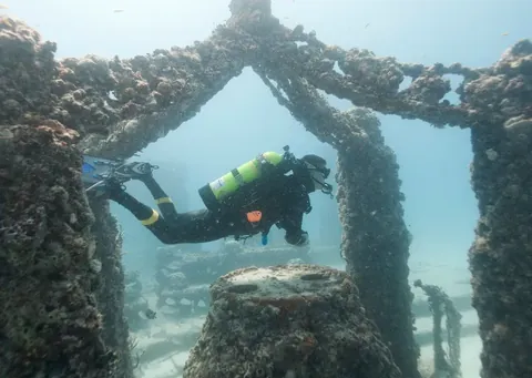 Neptune Memorial - A diver hovers over one of the altars