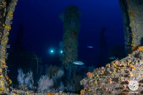 Sucre - Given its depth, this site tends to be dark