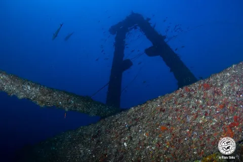 Ande - On of the freighter's arch is still upright