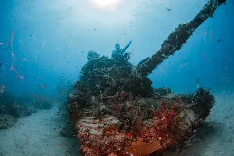 Army Tanks - Marine life is abundant. And it is said there still is one captain living in one of the tanks