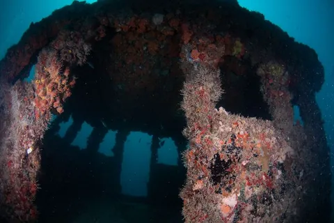 Ken Vitale - Fully colonized by corals. Barracudas tend to chill out in here