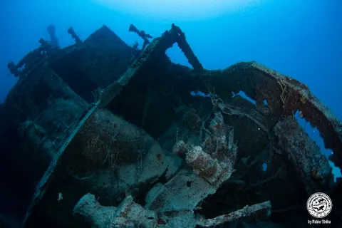 Doc De Milly - Although the wreck has received significant damage, divers may identify clearly its sterns and bow