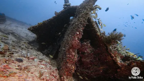 United Caribbean - One of the sections of the wreck fully colonized by corals