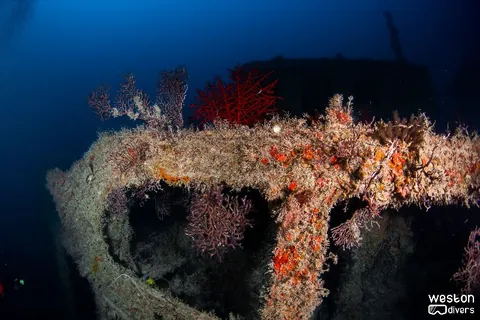 Mystic Isle - The bridge of the wreck can be accessed