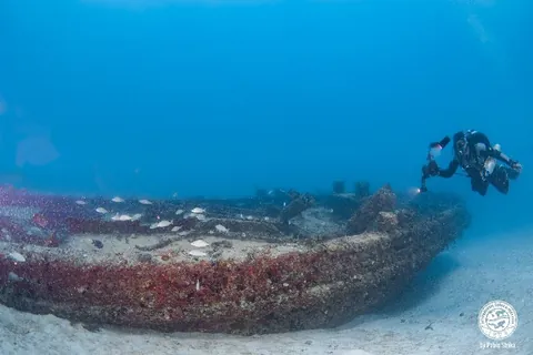 Belzona 2 - A diver swims over the tugboat