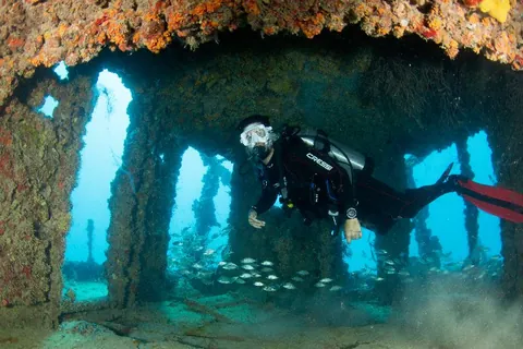 Matthew Lawrence Memorial Reef