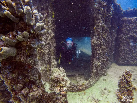 Matthew Lawrence Memorial Reef - The "Lawrence" has been colonized by corals long ago