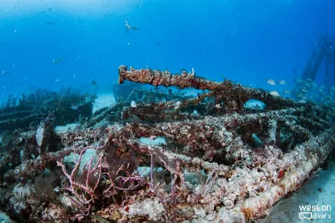 Radio Towers - The intricate structure is home to many tropical fish