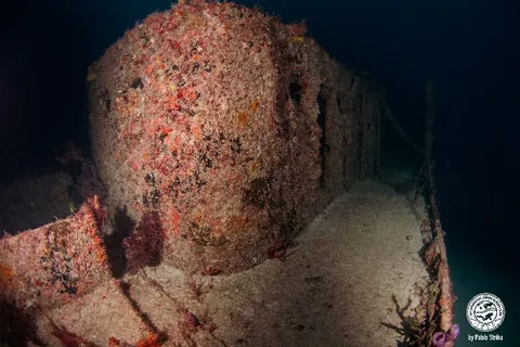 Betek AR Pen - The structure is opened and allows for swimis though