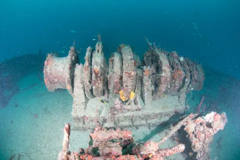 Ultra Freeze - Another angle of the bow winch