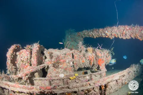Narwal - The bow winch