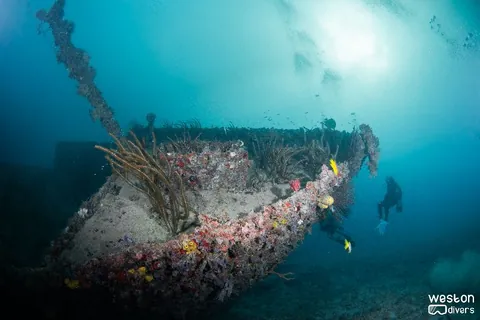 Eben-Ezer-II - The bow area of the wreck