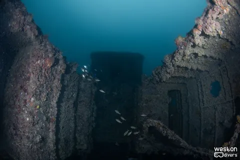 Donald G. McAllister - A view of the wheelhouse from the lower level